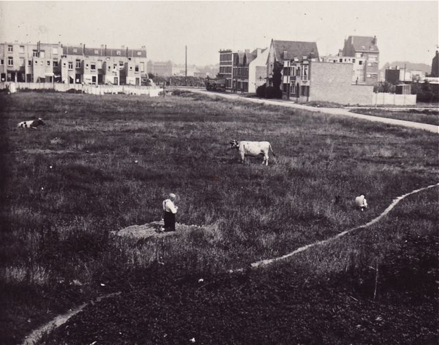 Organisatie van de eerste stadsboerderij. 't Was nog een beetje zoeken.