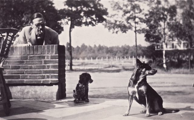 Derek, hondengedragsonderzoeker constateert: 