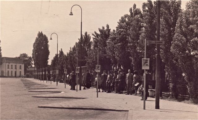De eerste autobussen moesten nog geconstrueerd worden maar de stelplaatsen waren er al en dat lokte volk natuurlijk!