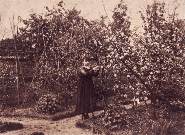 Vanwege haar idee dat iemand wel eens de tuin zou kunnen stelen knoopte Adéle alles aan mekaar vast.