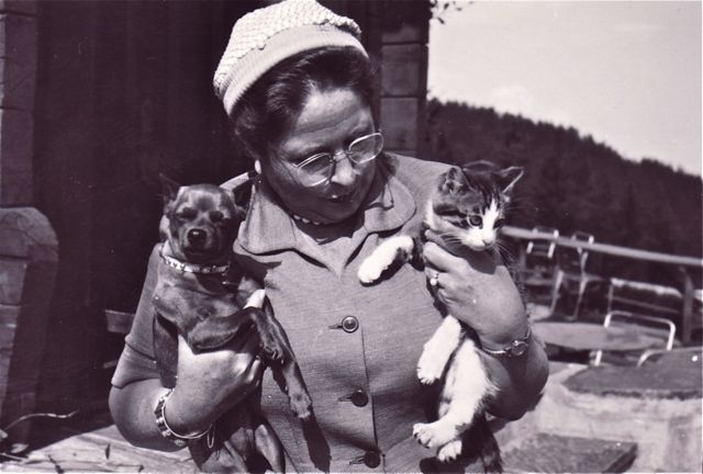 De huisdieren van mejuffrouw Spietaekels weigerden om hun dispuut bij te leggen.