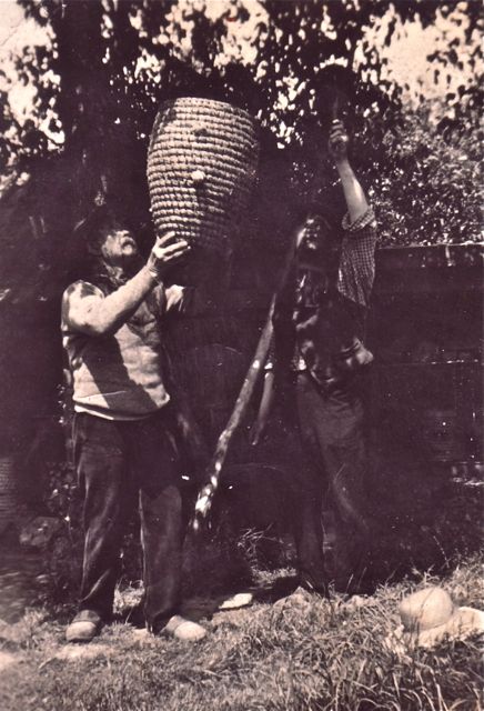 Als aspirant-imkers was de eerste les dat het niet zo'n goed idee was om de bijenkorf zomaar te verhuizen.