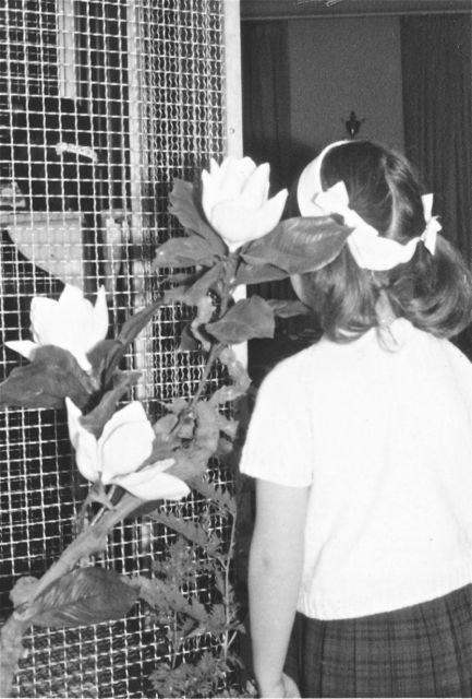 Nonkel Boris had een speciale collectie achterkanten van foto's.