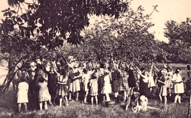 Jantje zag de bui al hangen want de meisjes waren er met alle pruimen vandoor. Dat is er echt gebeurd!