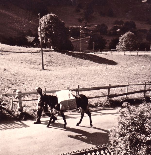De begrafenisondernemer in ons dorp was al wel gestart, maar nog aan het sparen voor de basisuitrusting.