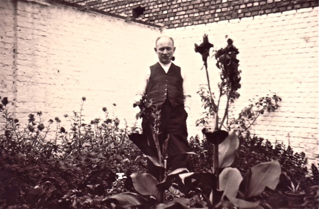 Wij hadden thuis een zeldzame tuinmanplant in bloei staan.